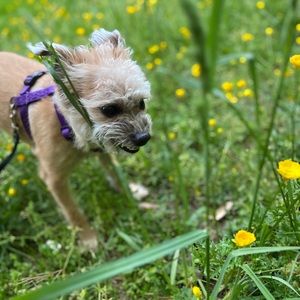 Meet your Posher, Jackie